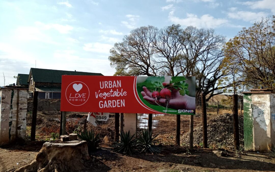Urban Vegetable Garden