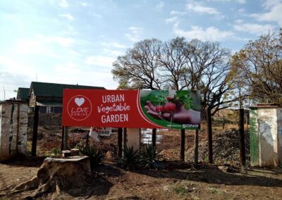 Urban Vegetable Garden